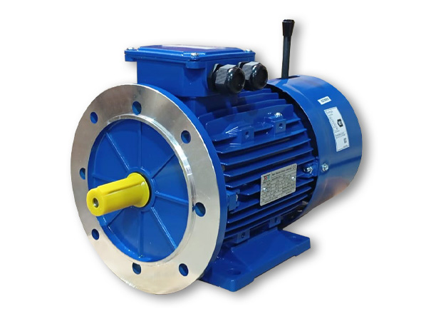 motor-msej
